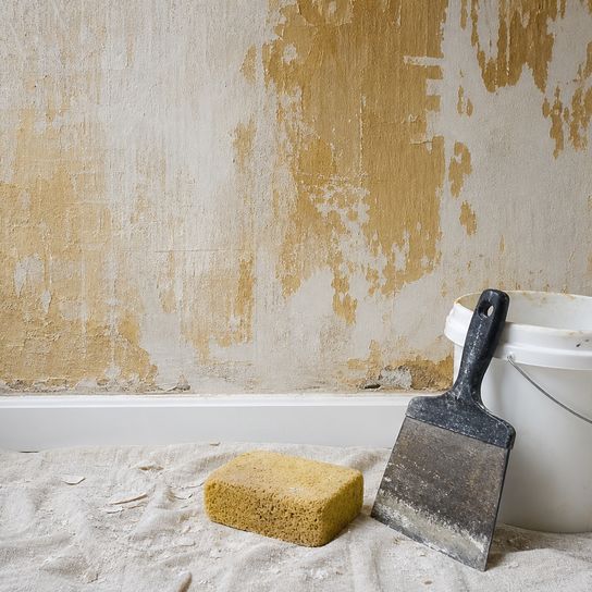 wallpaper removal